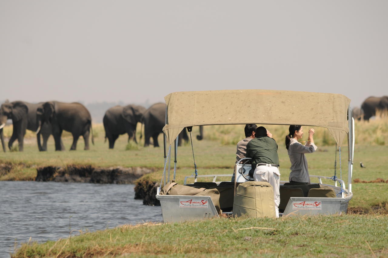 Ngoma Safari Lodge Kavimba Екстериор снимка