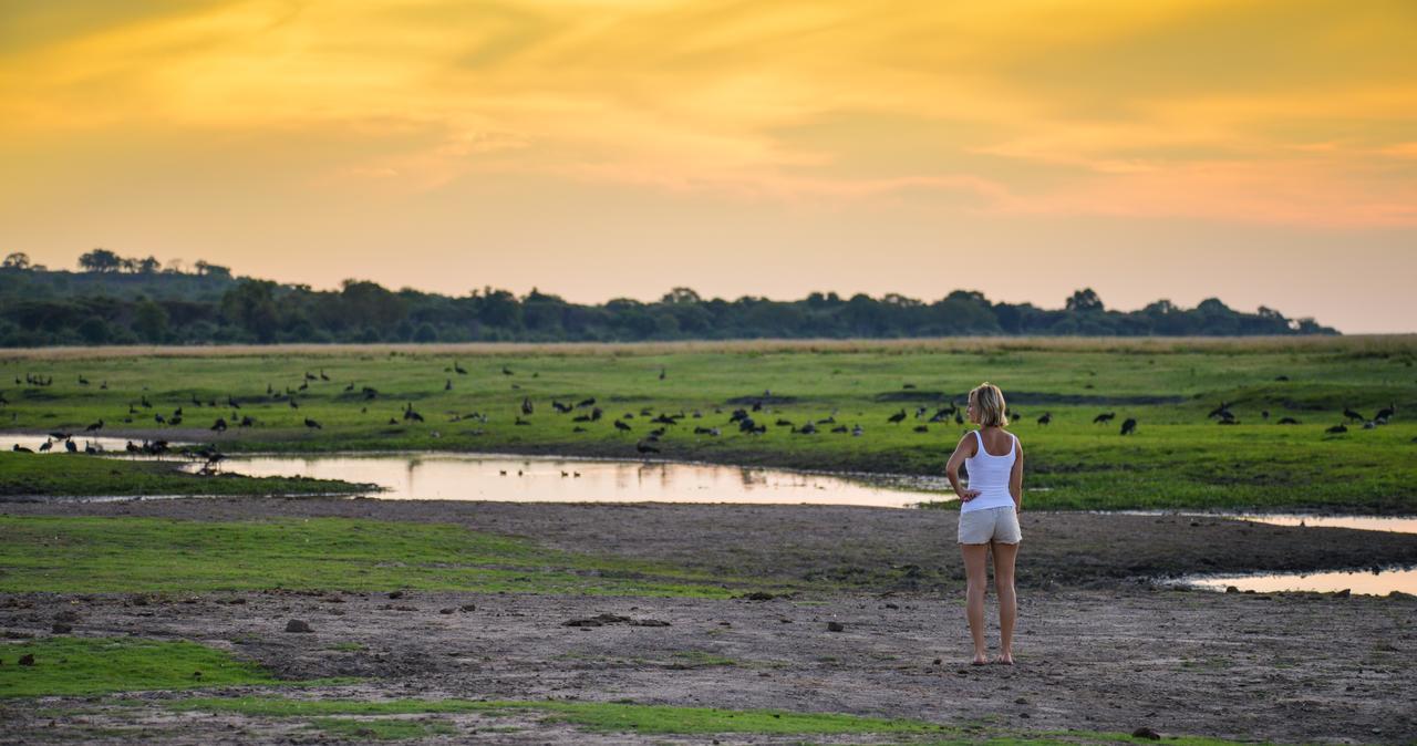 Ngoma Safari Lodge Kavimba Екстериор снимка