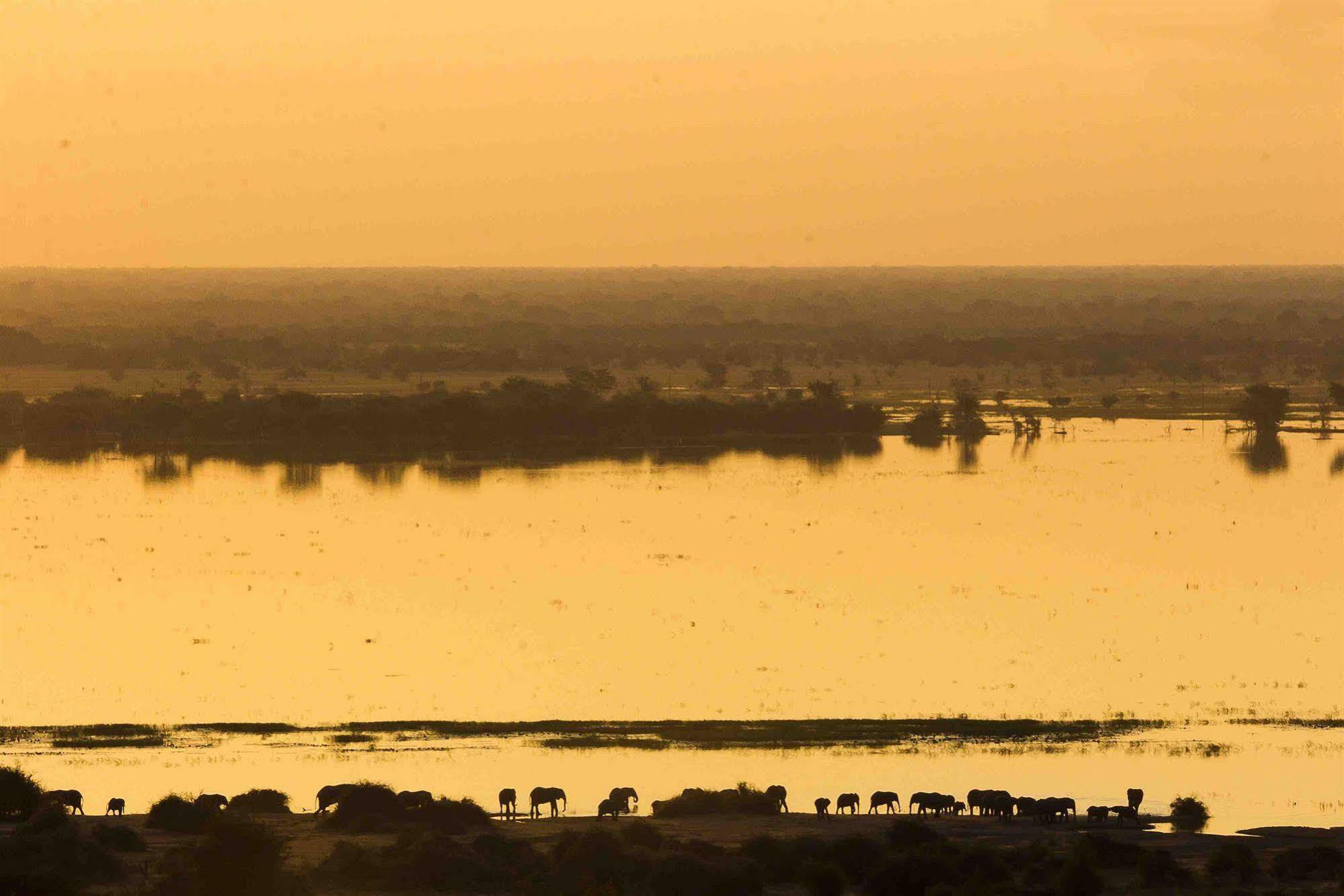 Ngoma Safari Lodge Kavimba Екстериор снимка