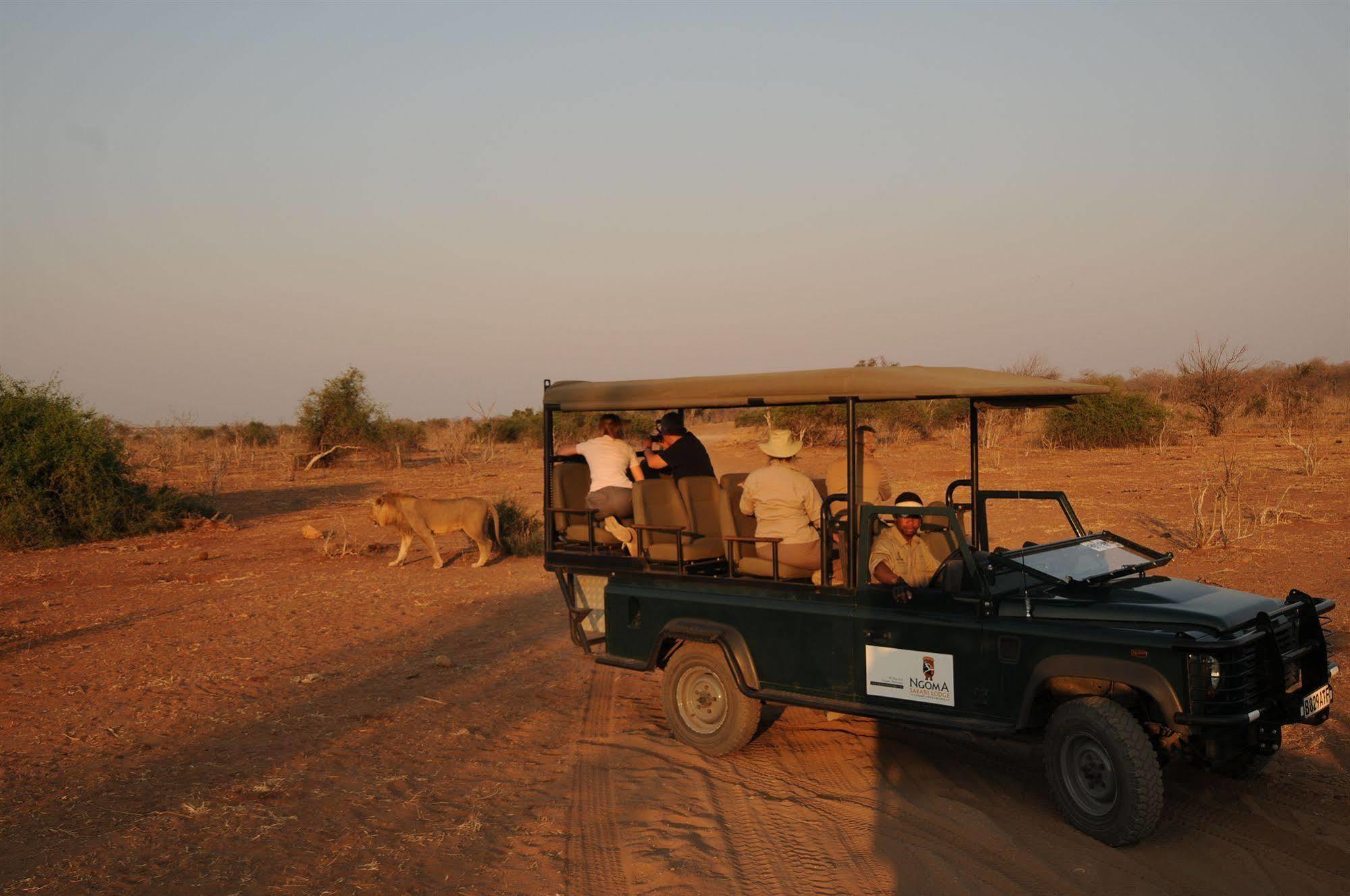 Ngoma Safari Lodge Kavimba Екстериор снимка