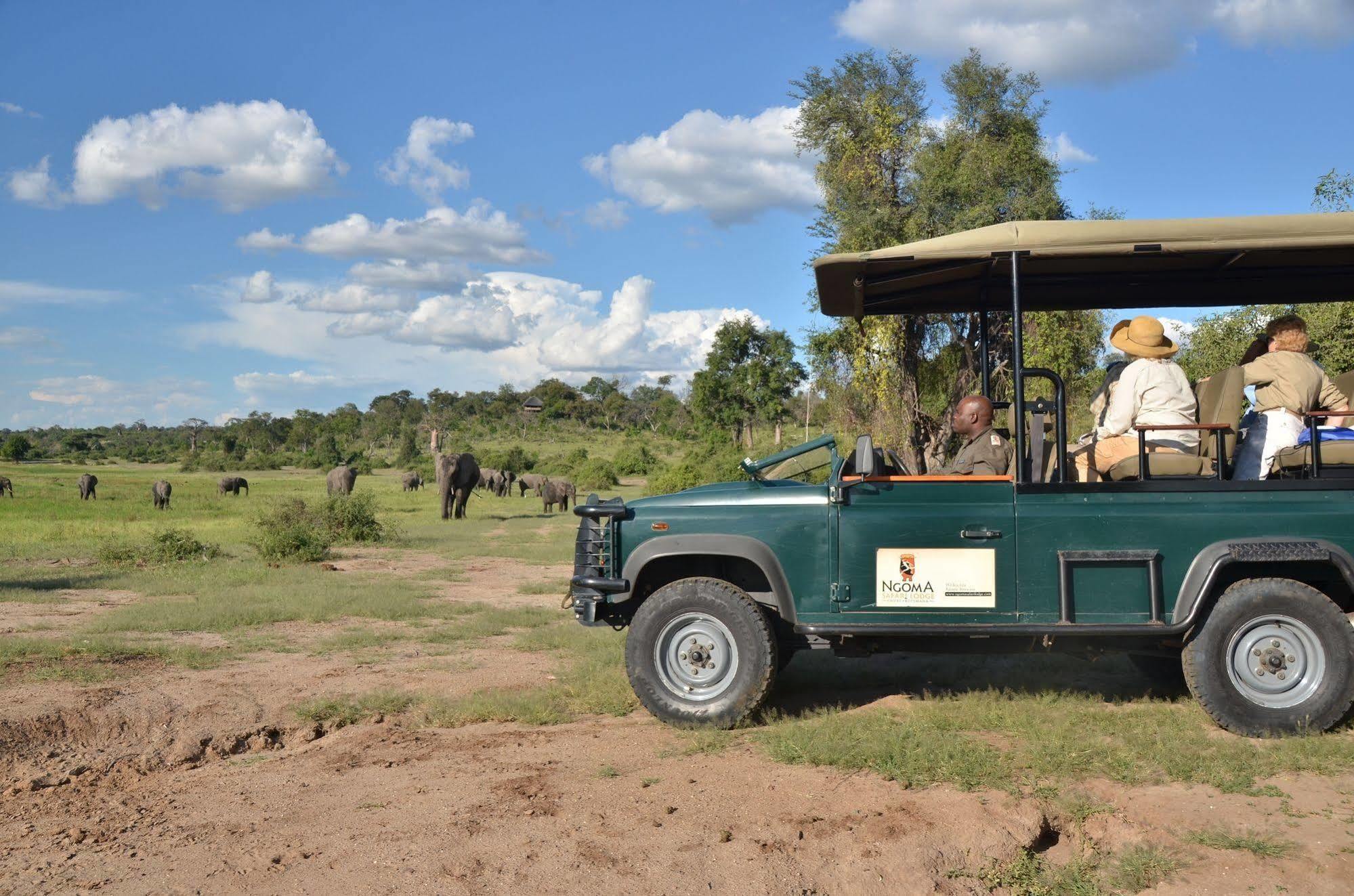 Ngoma Safari Lodge Kavimba Екстериор снимка